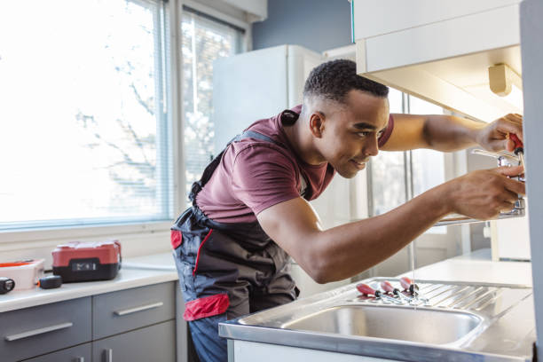 Best Clogged Drain Plumber  in Niles, OH