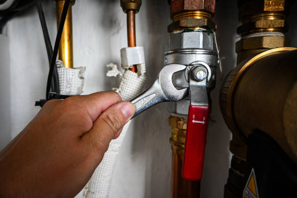 Best Commercial Plumbing Services  in Niles, OH
